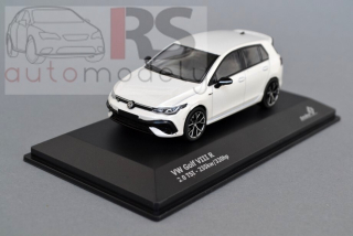 VW Golf VIII R 2.0 TSi (2021) 